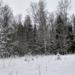 Зима в Подмосковье